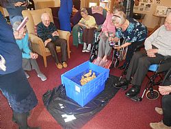Claremont Lodge Care Home Duckling Hatching Project